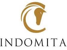 Indmita Logo